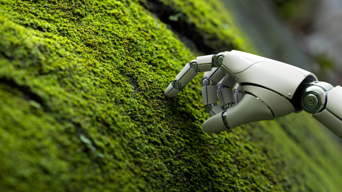 sustainable AI